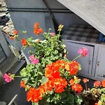 Coccinella House *