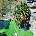Prázdninový dům Coccinella House Calasca-Castiglione