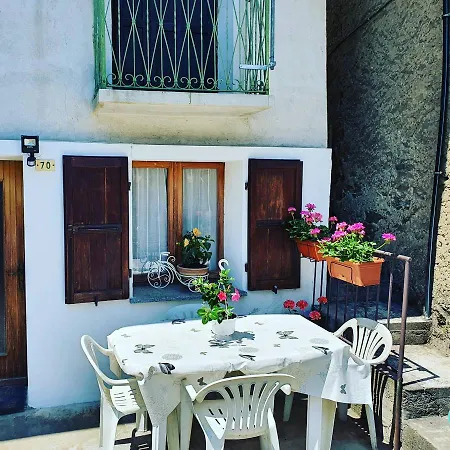 Semesterbostad Coccinella House *