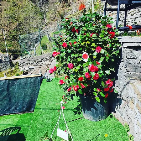 Holiday home Coccinella House Calasca-Castiglione