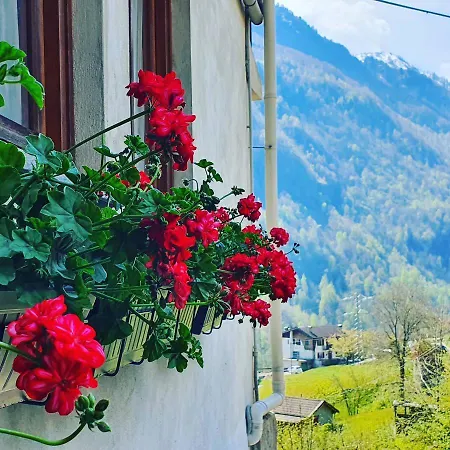 Coccinella House Holiday home Calasca-Castiglione