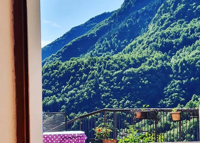 Vakantiehuis Coccinella House