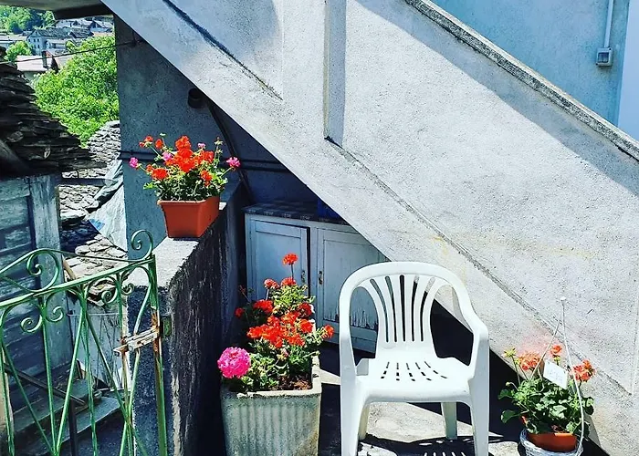 Vakantiehuis Coccinella House