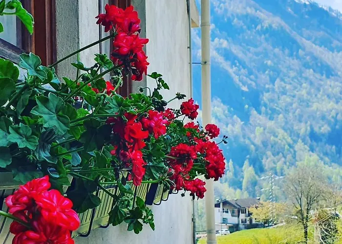 Coccinella House Vakantiehuis Calasca-Castiglione